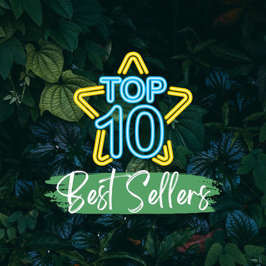 Top 10 Best Selling Products