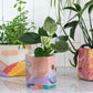 Pop up pot - Sow n Sow Planter