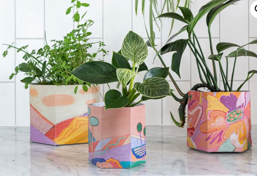 Pop up pot - Sow n Sow Planter