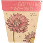Gift of seeds