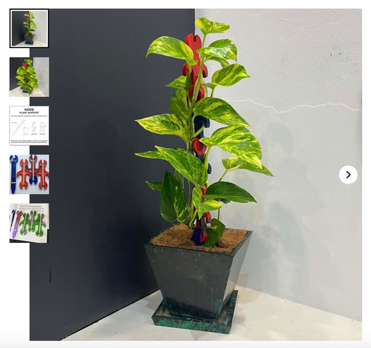 Node Plant Support - Recycled plastic