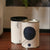Leaf Candle Co. Candle Bloom (Apple blossum) Candle - LaLuna Collection- Reclaimed Tin Cans