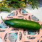 Bees wax wraps - Reusable Food Wraps