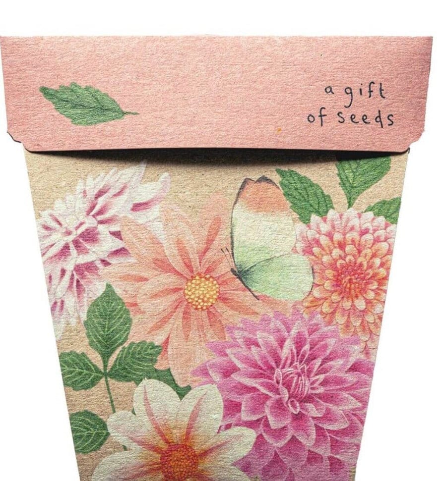 Sow n Sow gift of seeds Dahlia Gift of seeds