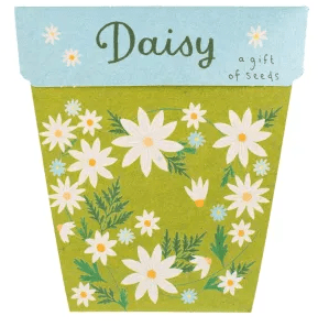 Sow n Sow gift of seeds Daisy Gift of seeds