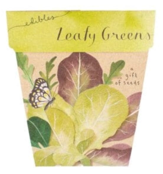 Sow n Sow gift of seeds Leafy Greens Seeds - Australian Native - Gift of seeds