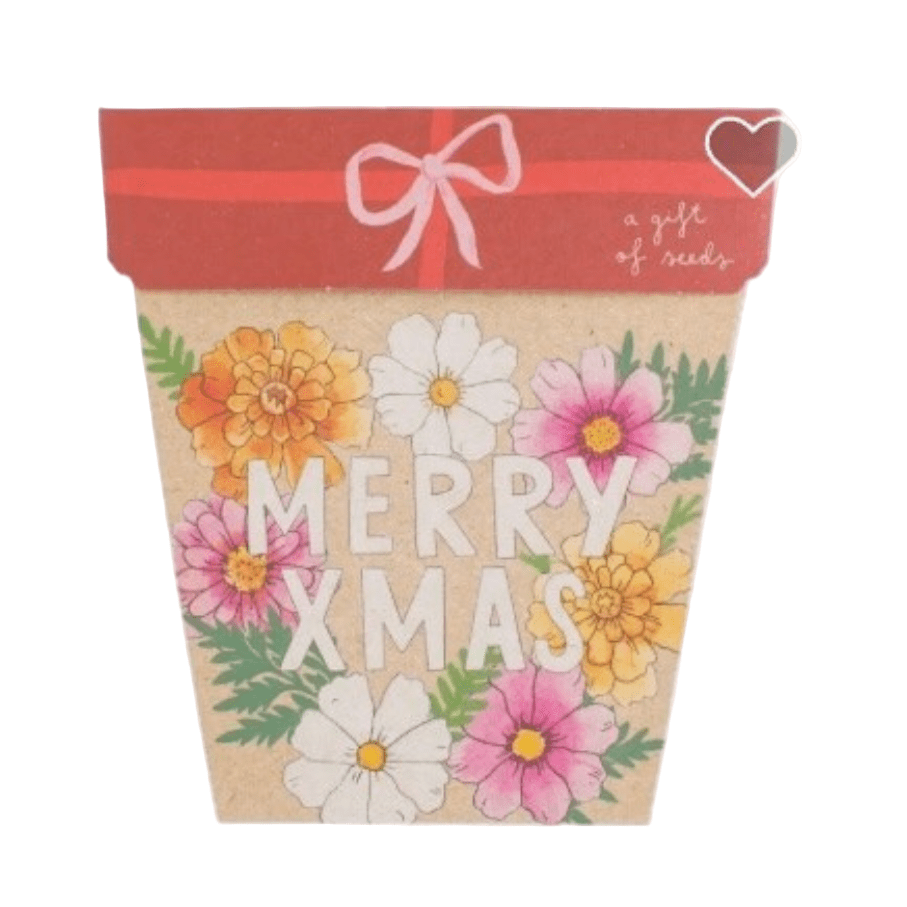 Sow n Sow gift of seeds Merry Xmas Seeds - Australian Native - Gift of seeds