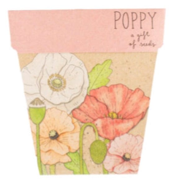 Sow n Sow gift of seeds Poppy Gift of seeds