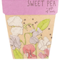Sow n Sow gift of seeds Sweet Pea Gift of seeds