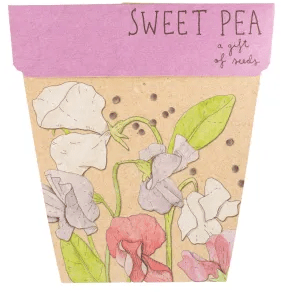 Sow n Sow gift of seeds Sweet Pea Gift of seeds
