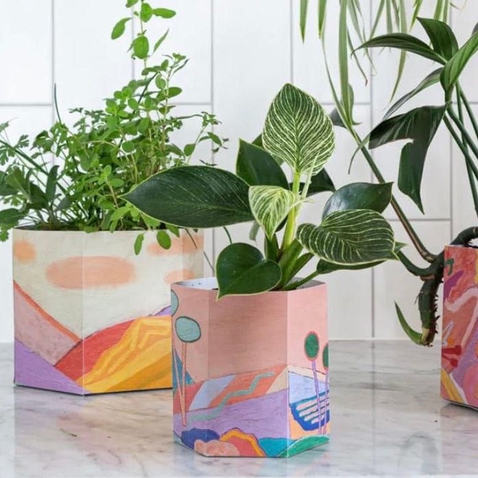 Sow n Sow Pop up Pot Pop up pot - Sow n Sow Planter