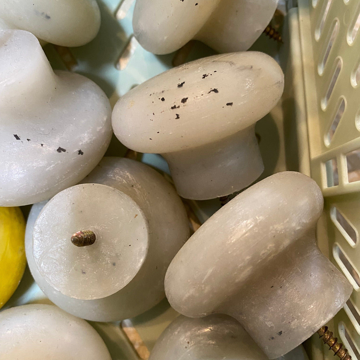 Transmutation Door Knob Screw - White Door Knobs - Recycled Plastic