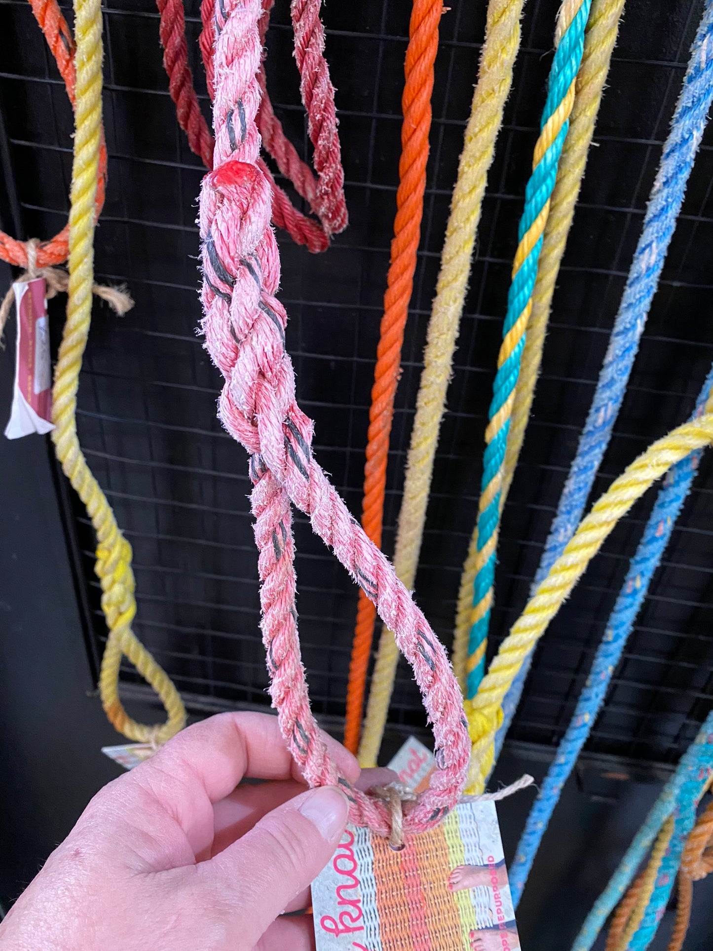 Dog Leads - Crayfishermen rope