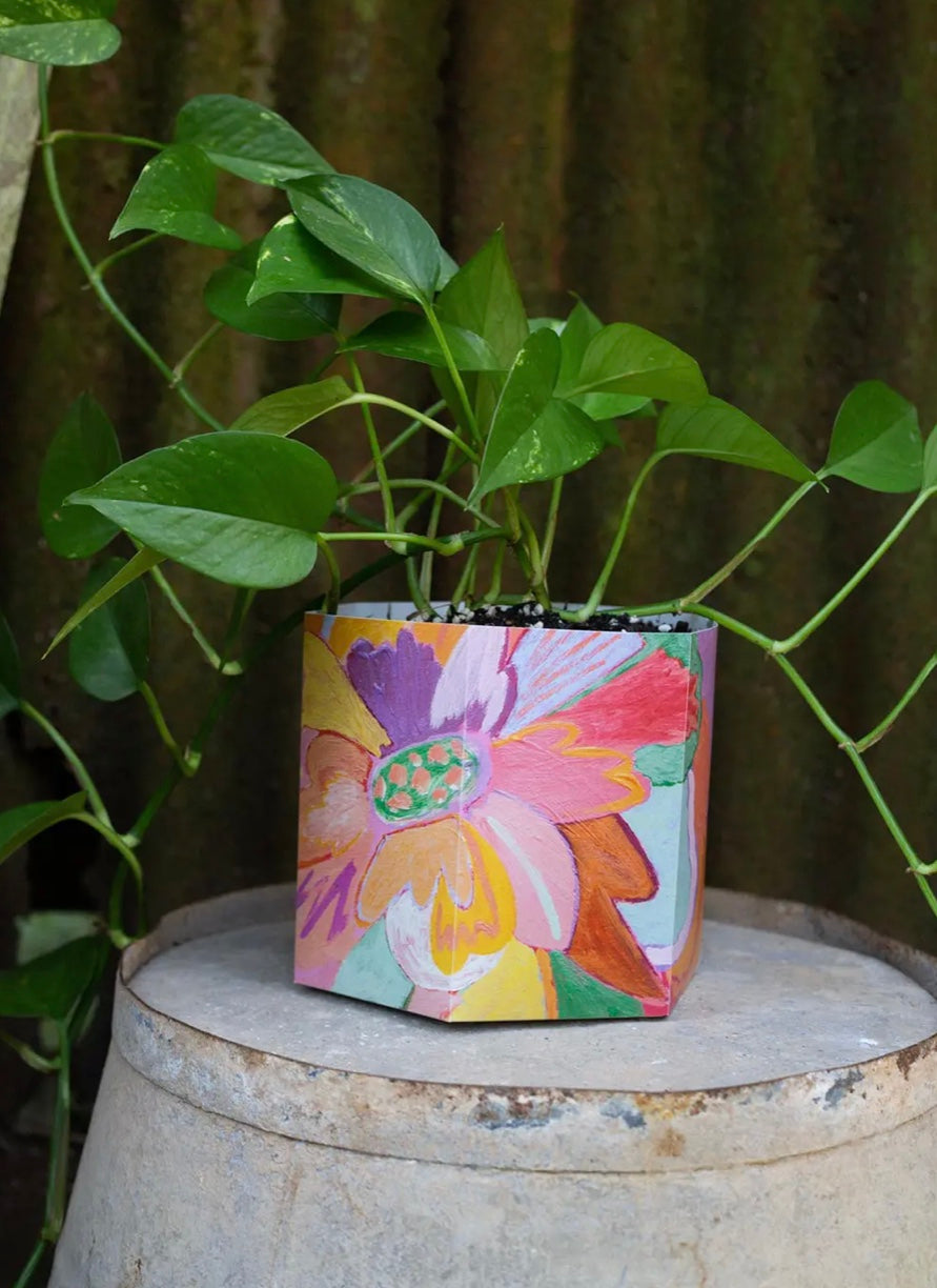Pop up pot - Sow n Sow Planter