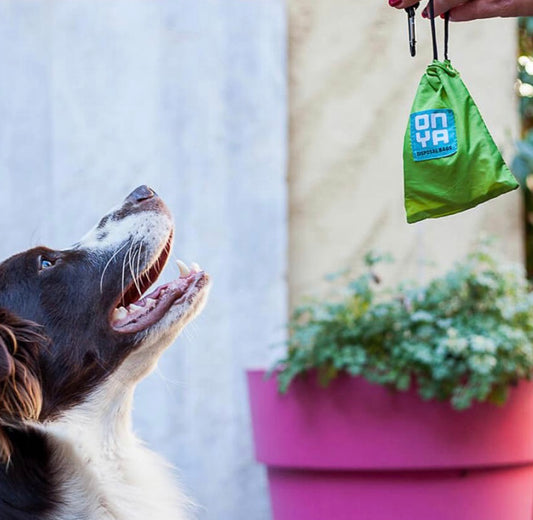 Bag - Onya Doggy waste disposal bags & carry pouch.