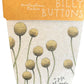 Gift of seeds