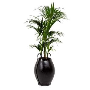 Evergreen Life Tubs Small - H40 x D30cm Planter - Rubber Tub - handles