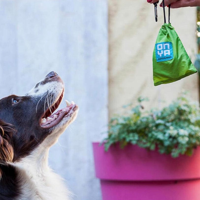 Onya backpack Bag - Onya Doggy waste disposal bags & carry pouch.