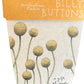 Sow n Sow gift of seeds Gift of seeds