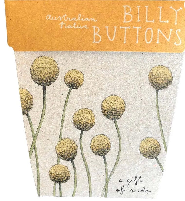 Sow n Sow gift of seeds Gift of seeds