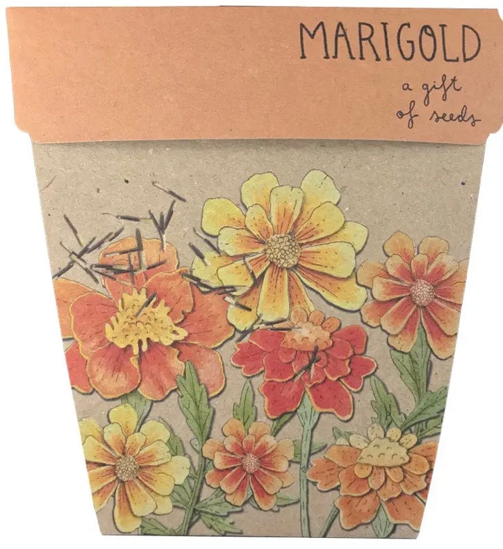 Sow n Sow gift of seeds Gift of seeds