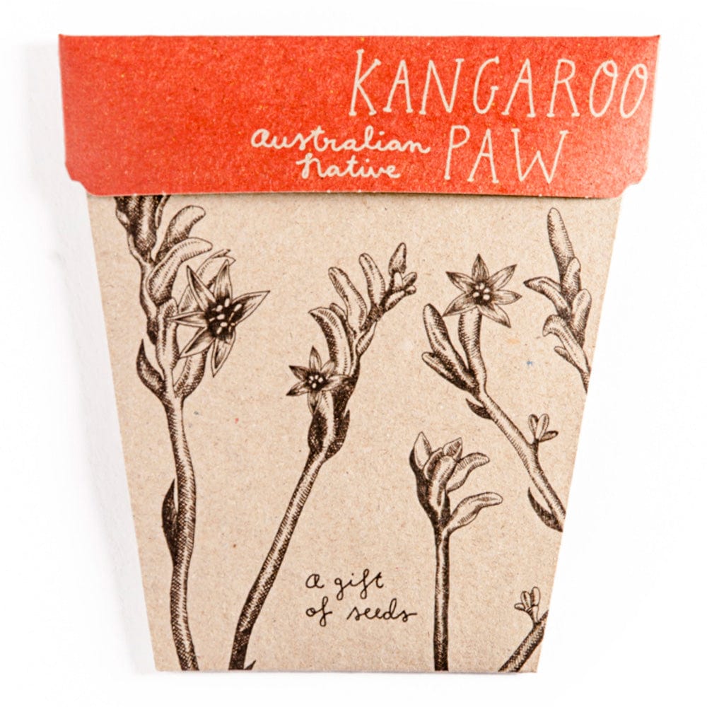 Sow n Sow gift of seeds Kangaroo Paw Gift of seeds
