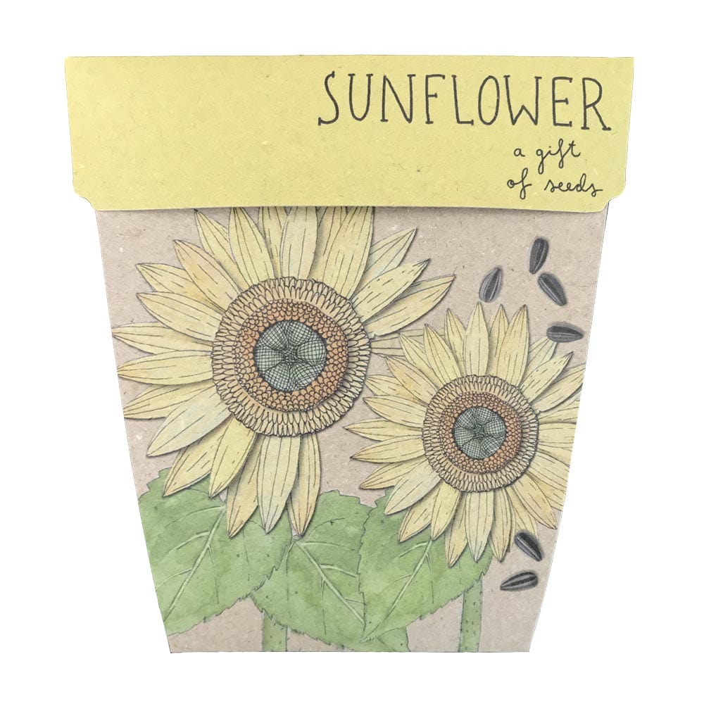 Sow n Sow gift of seeds Sunflower Gift of seeds