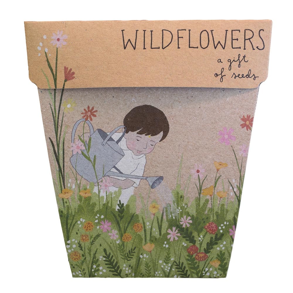 Sow n Sow gift of seeds Wildflowers Gift of seeds