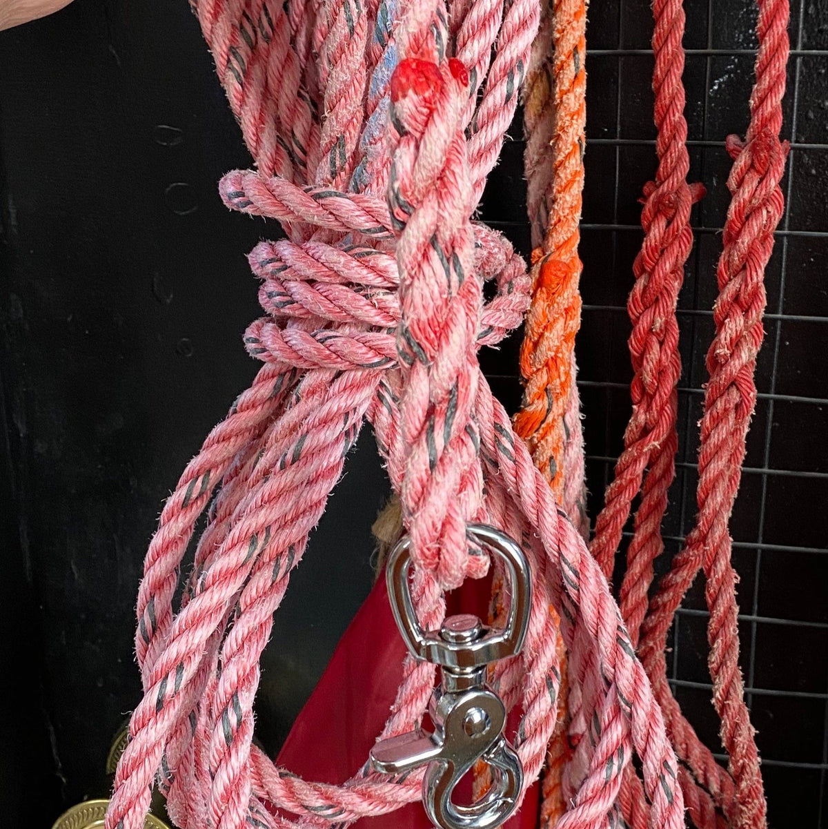 Why Knot Dog Leads Extra long - for beach Dog Leads - Crayfishermen rope