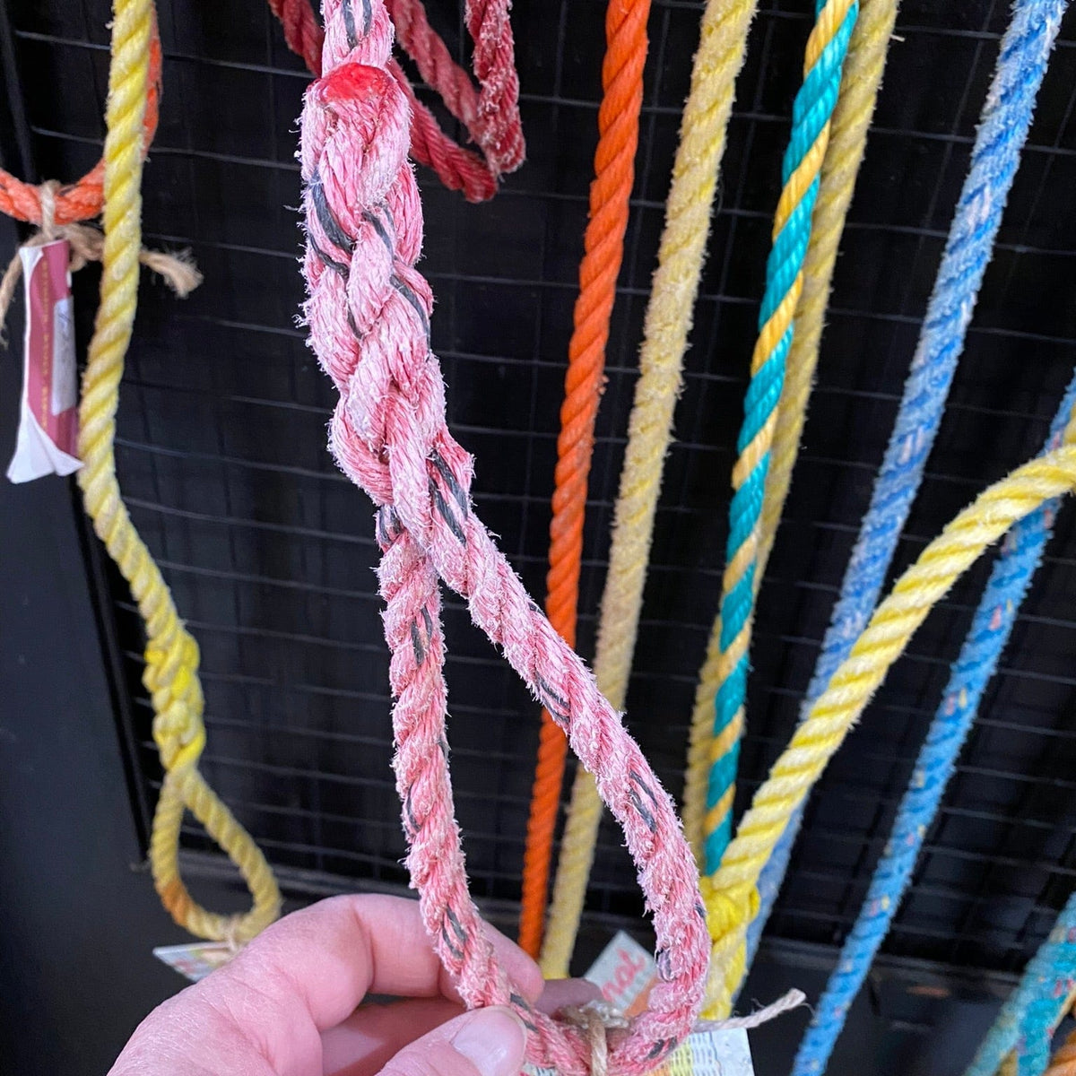 Why Knot Dog Leads Ute / short Dog Leads - Crayfishermen rope